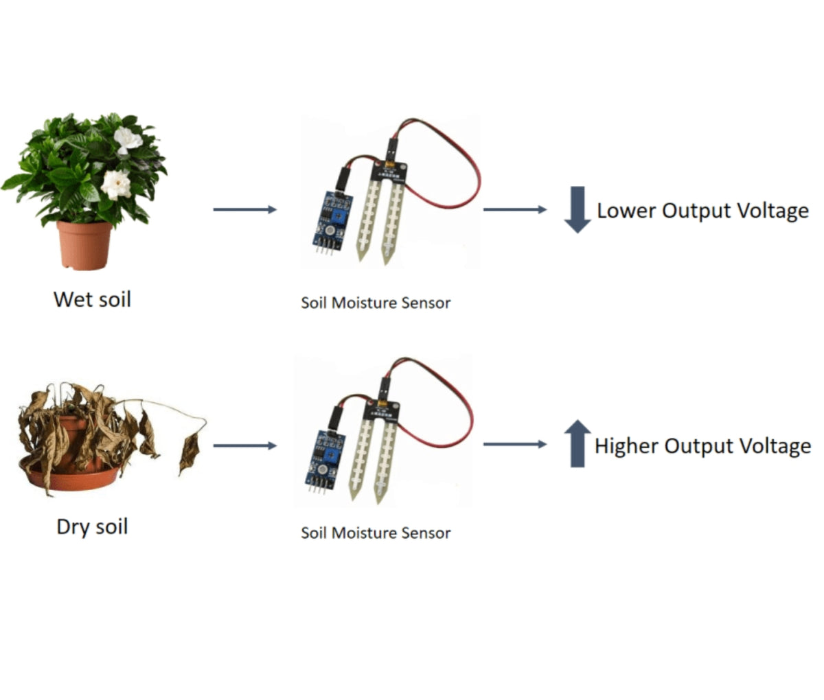 Soil Moisture Meter, Soil Humidity Sensor, Water Sensor, Soil Hygrometer